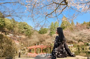 京都自助旅遊寫真