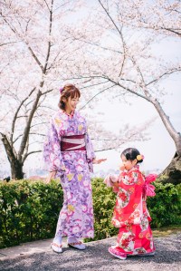 京都櫻花,親子浴衣出租