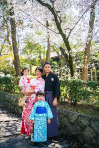 京都櫻花,和風全家幅拍攝